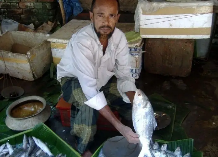 Fish farming in the waterlogged coastal area