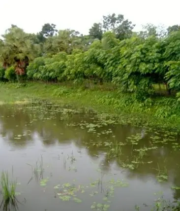 Integrated organic farming