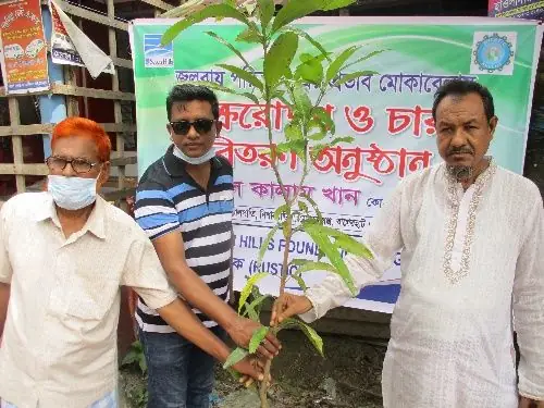 Roadside afforestation in Bagerhat